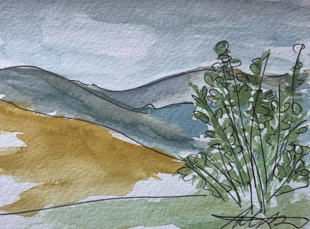 Watercolor sketch, watercolor and ink on paper, by Shannon Huffman Polson